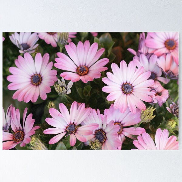 Item preview, Flower in Flower Shop designed and sold by Nugrahini Tj..