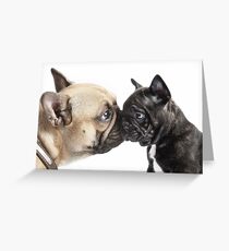 A Kiss From Auntie Greeting Card