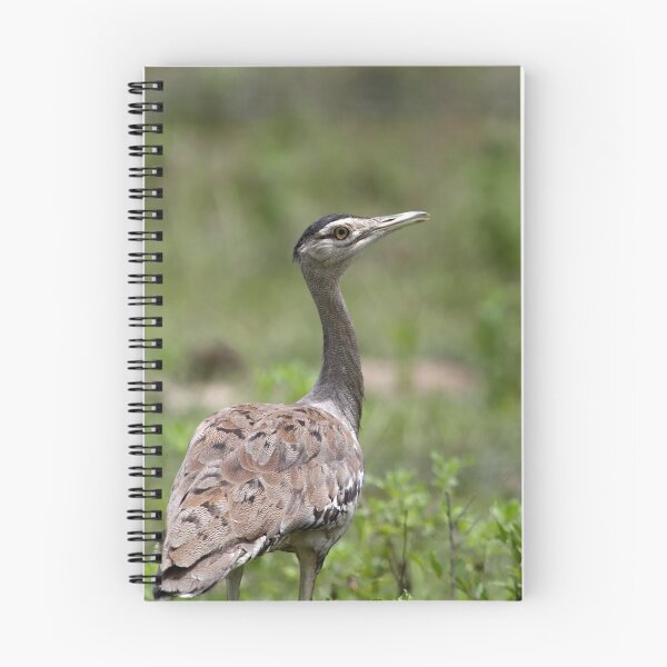 Item preview, Australian Bustard designed and sold by Jeremy Weiss.