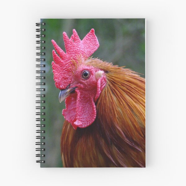 Item preview, Grumpy The Rooster! designed and sold by Gabrielle  Lees.