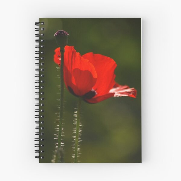 Artikelvorschau, ISM center garden - red beauty... entworfen und verkauft von Deepjay Sarkar.