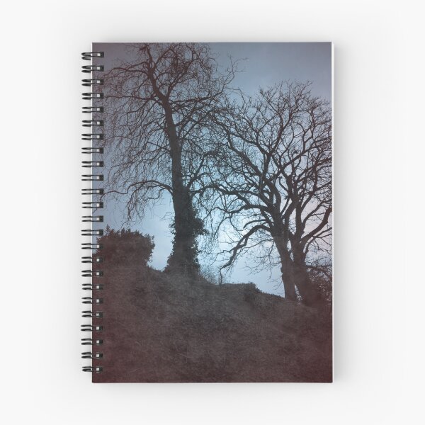 Item preview, Trees on Castle Mound, Bedford designed and sold by fotdmike.
