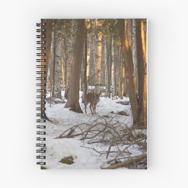 Item preview, A doe in the forest designed and sold by Josef Pittner.