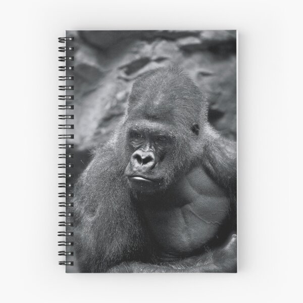 Item preview, Enough is Enough designed and sold by Jeff Palm Photography.