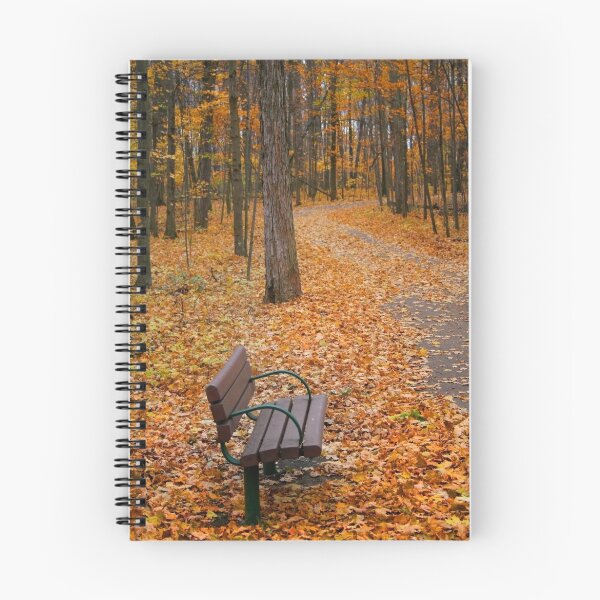 Item preview, Bench In A Park designed and sold by snehit.