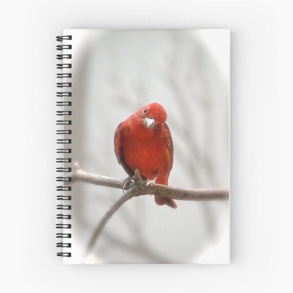 Item preview, Ya Got That Look designed and sold by NatureGreeting Cards ©ccwri.