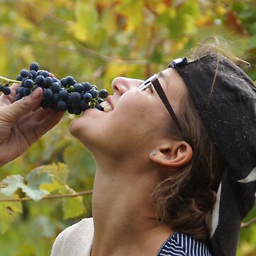 Artwork thumbnail, Delicious - Magpie Springs - Adelaide Hills Wine Region - Fleurieu Peninsula - Winery by MagpieSprings