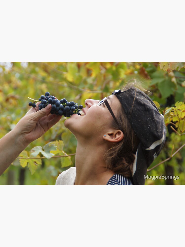Thumbnail 3 of 3, Sticker, Delicious - Magpie Springs - Adelaide Hills Wine Region - Fleurieu Peninsula - Winery designed and sold by MagpieSprings.