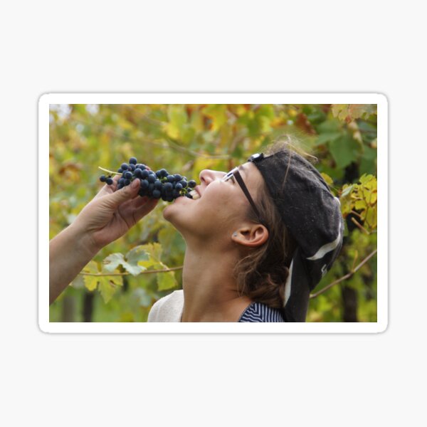 Delicious - Magpie Springs - Adelaide Hills Wine Region - Fleurieu Peninsula - Winery Sticker