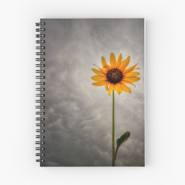 Artikelvorschau, Lone Sunflower entworfen und verkauft von Bob Larson.