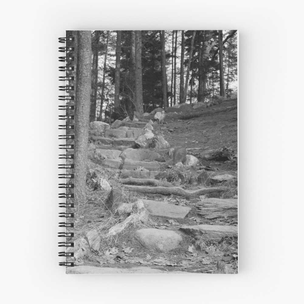 Item preview, Spiral Notebook designed and sold by Boo7.