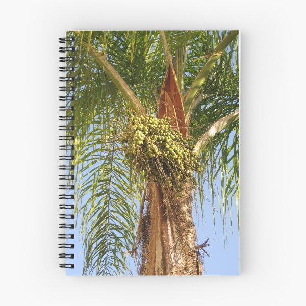 Item preview, majestic date palm designed and sold by deedeeoriginals.