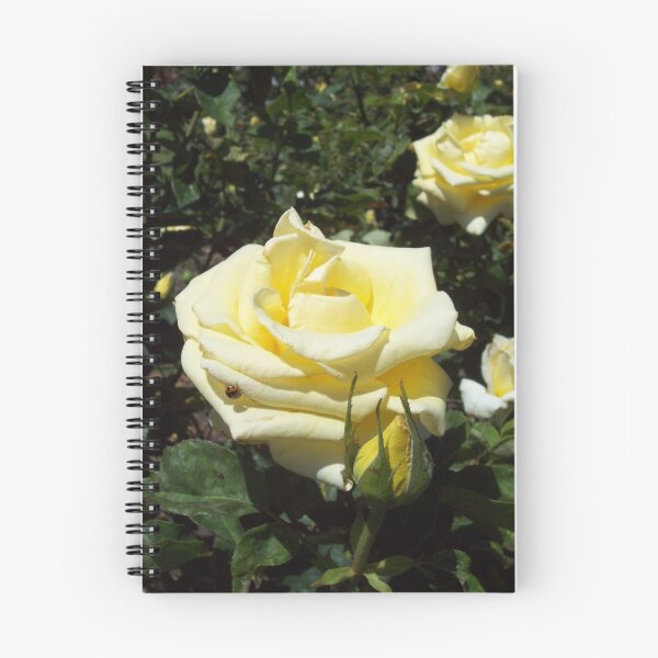 Item preview, Lady Bug on Yellow Rose designed and sold by Angela Simpkin.