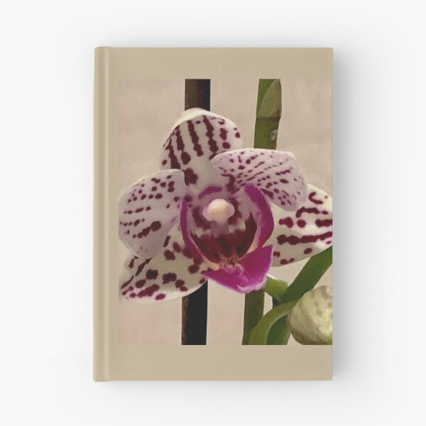 Item preview, Outstanding Orchid  designed and sold by KazM.