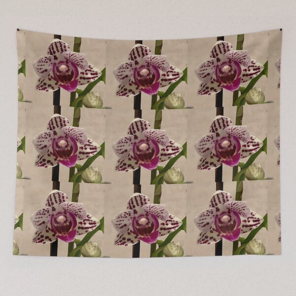Item preview, Outstanding Orchid  designed and sold by KazM.