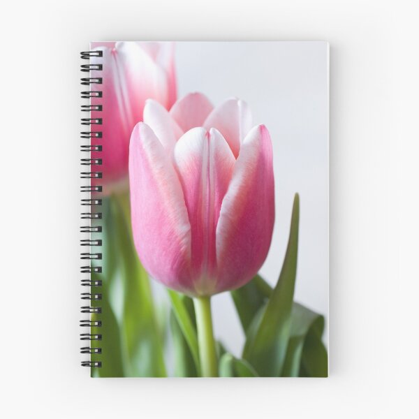 Item preview, Beautiful Pink Tulip designed and sold by Claire Tennant.