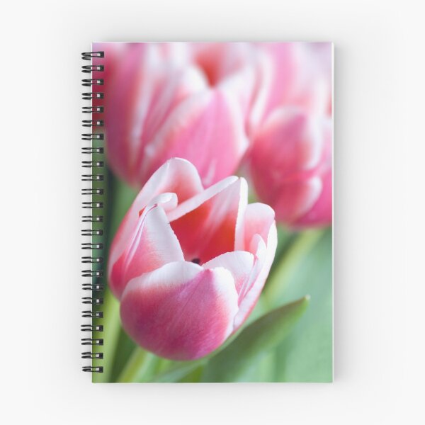 Item preview, Beautiful Pink Tulips designed and sold by Claire Tennant.