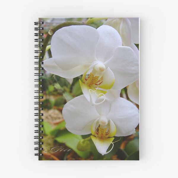 Item preview, "Doubled Perfectly" designed and sold by Gail Jones.