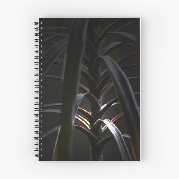 Item preview, Spiral Staircase designed and sold by ABPhotoArt.