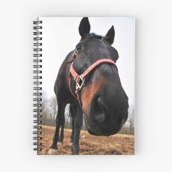 Item preview, Howdy, designed and sold by Jodi Renshaw.