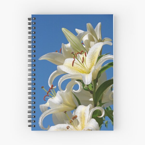 Item preview, Easter Lilies designed and sold by Curtis  Sheppard.