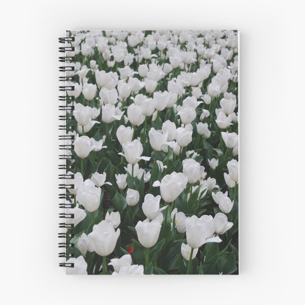 Item preview, Tulips in White designed and sold by Lozzar Flowers & Art.