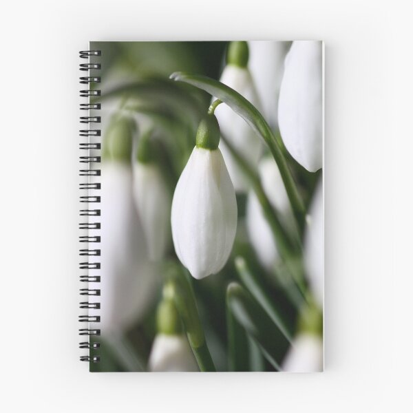 Item preview, Galanthus 2 designed and sold by Bev Evans.