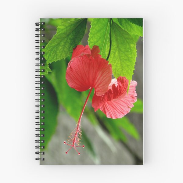 Item preview, Beauty From Above designed and sold by NatureGreeting Cards ©ccwri.