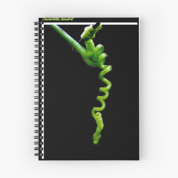 Item preview, Tendril designed and sold by Susan Ringler.