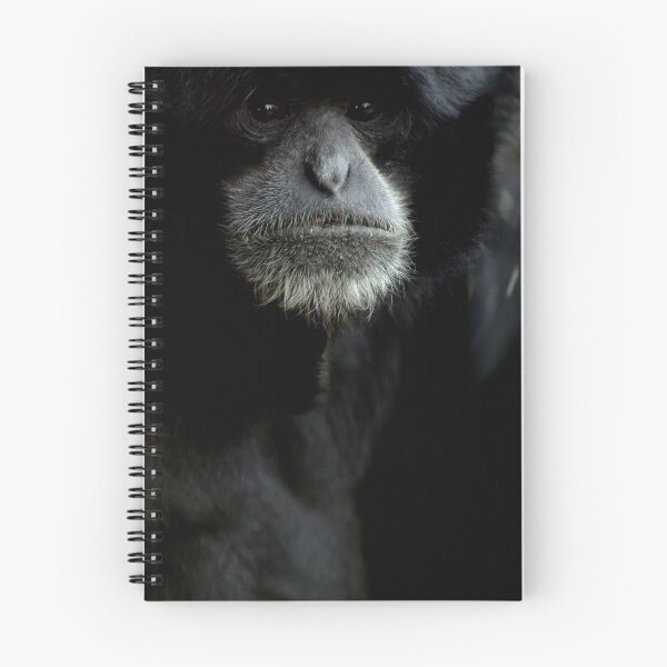 Item preview, Siamang designed and sold by Tamara  Kenneally.