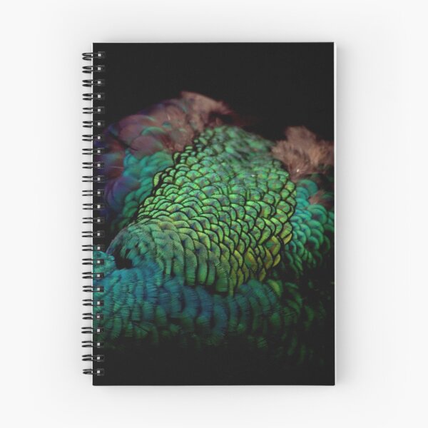 Item preview, Green Peafowl Feathers designed and sold by Tamara  Kenneally.