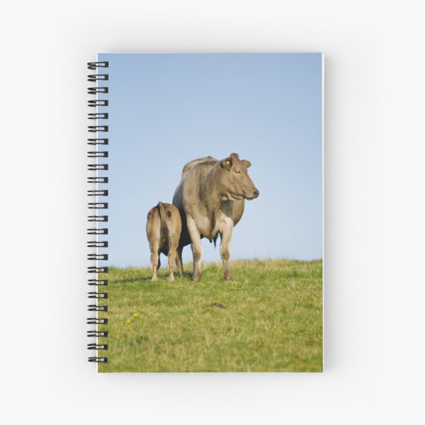 Grey cow and calf - St Bees Spiral Notebook