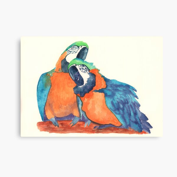 A couple of parrots Canvas Print