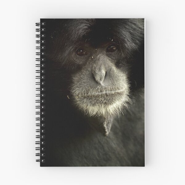 Item preview, Male Siamang designed and sold by Tamara  Kenneally.