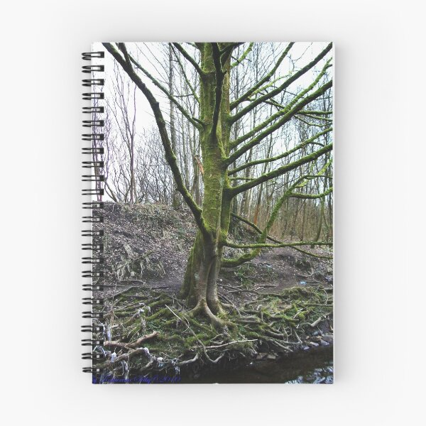 Item preview, Branching Out designed and sold by Kathy Selby.