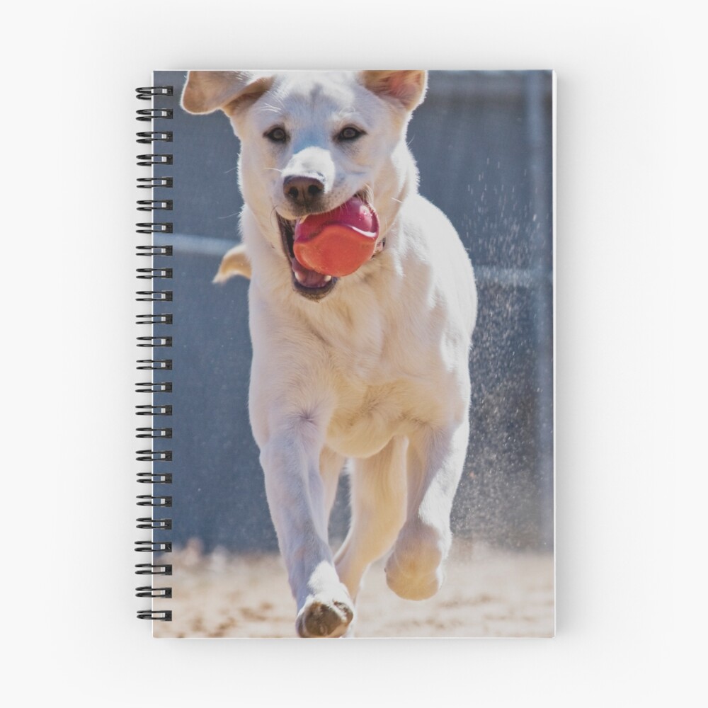 Item preview, Spiral Notebook designed and sold by IKeepScreaming.