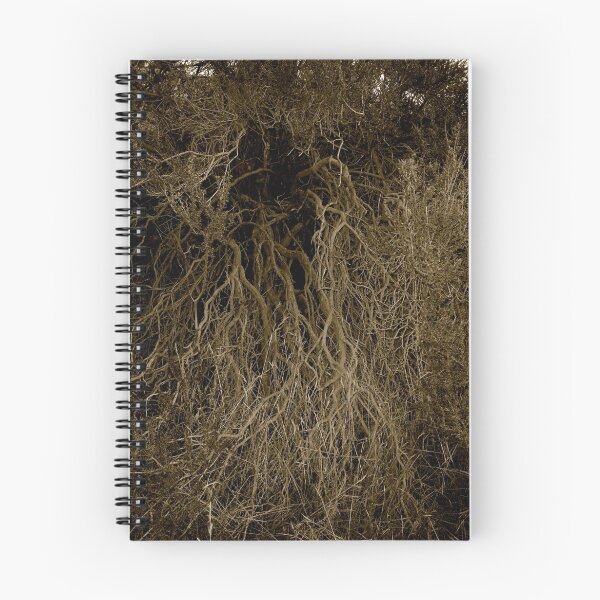 Item preview, Roots designed and sold by Yesim Osman.