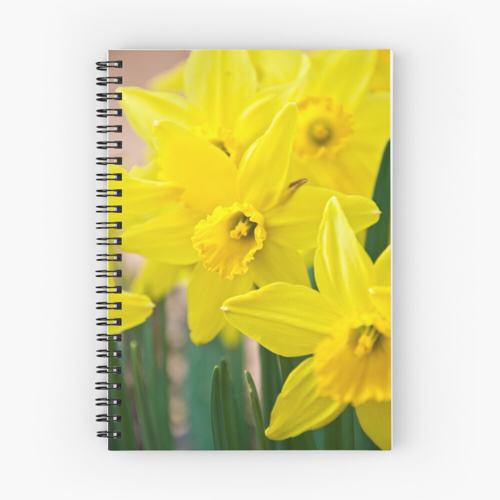 Vista previa del artículo con la obra «Cuaderno de espiral», diseñado y vendido por shawnnataylor.