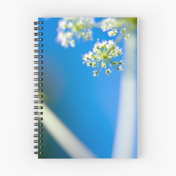 Aperçu de l'œuvre Cow Parsley (Anthriscus sylvestris) créée et vendue par Linn Arvidsson.