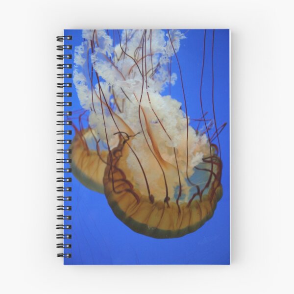 Item preview, Jelly Fish In Red and Orange designed and sold by Laddie Halupa.