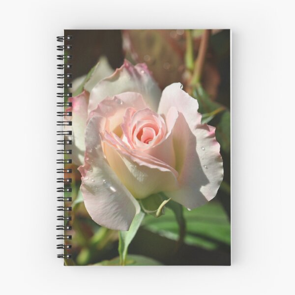 Item preview, Morning Rose Bud designed and sold by MissyD.