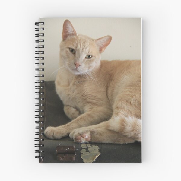 Item preview, Lazy Larry  designed and sold by StaceyH.