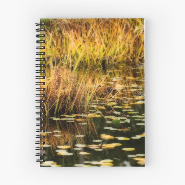 Aperçu de l'œuvre Deer Lake Park créée et vendue par DThiessen.