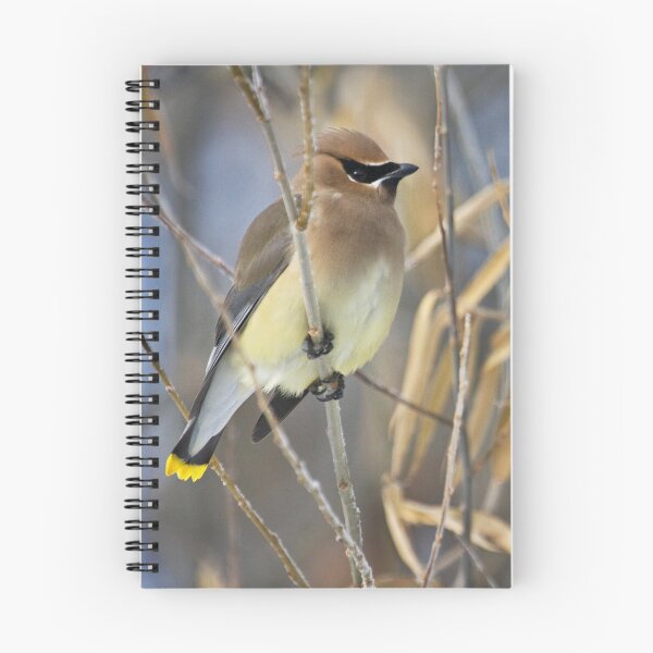 Item preview, Cedar Waxwing 2 designed and sold by Kim Barton.