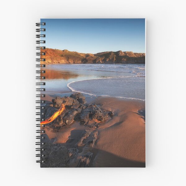Item preview, Driftwood at Three Cliffs Bay designed and sold by Leighton Collins.