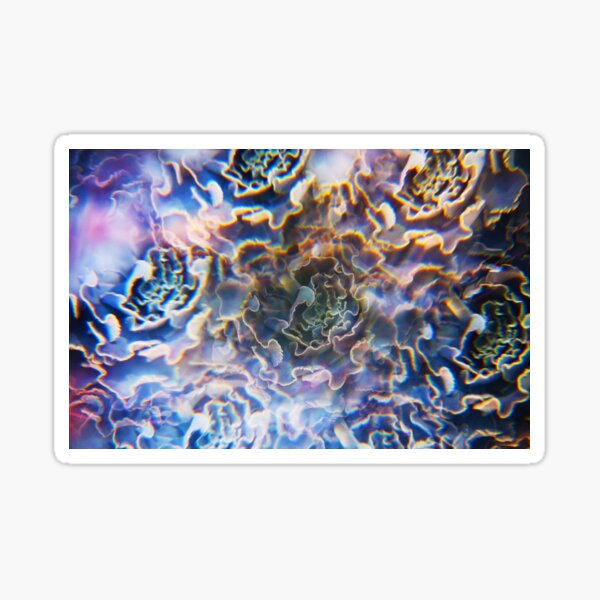 Succulent Photographed Through Prism Filter Sticker