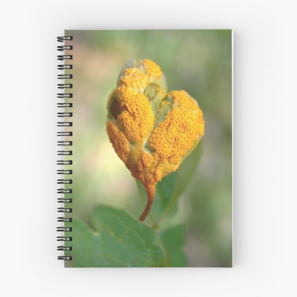 Item preview, Orange Details Among the Green designed and sold by Carla Wick/Jandelle Petters.