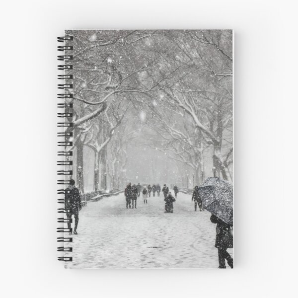 Item preview, New York Winter designed and sold by Dawn van Doorn.