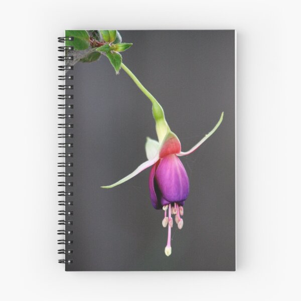 Item preview, Flower designed and sold by Jodie Cooper.