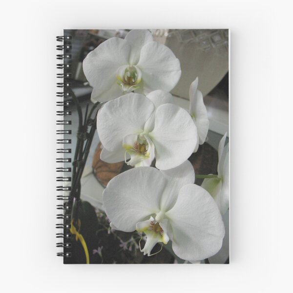 Item preview, Blanc Orchides designed and sold by MarianBendeth.